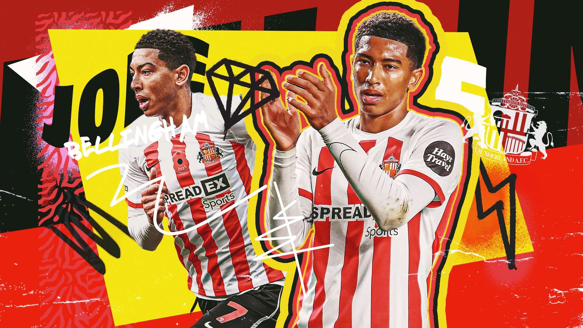 他们不仅了 他们不仅了